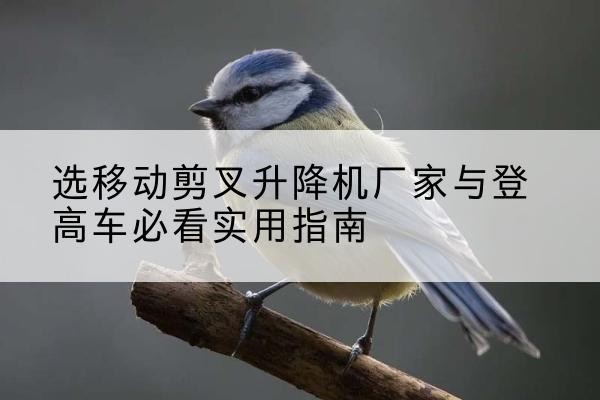 波密电动升降机厂家-选移动剪叉升降机厂家与登高车必看实用指南