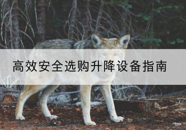 波密升降货梯厂家推荐-*安全选购升降设备指南