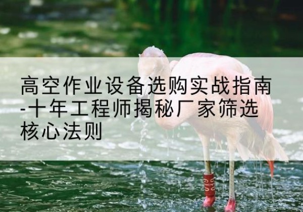 波密剪叉式升降机厂家-高空作业设备选购实战指南-十年工程师揭秘厂家筛选核心法则